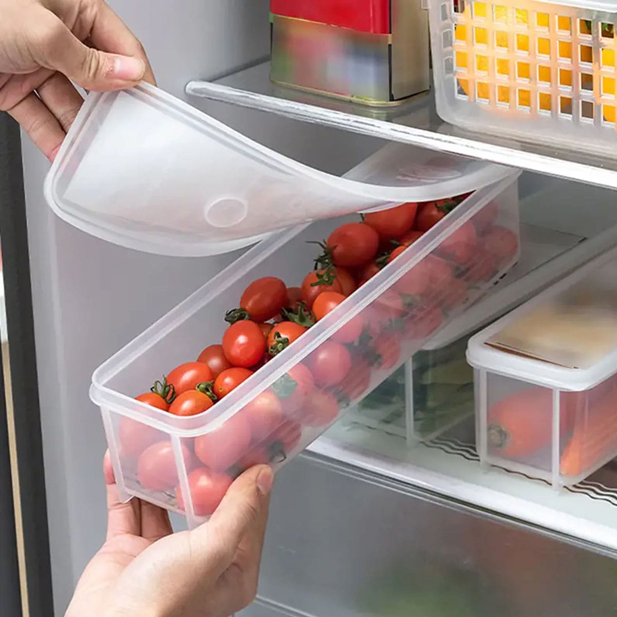 1 Plastic Transparent Storage  - đánh giá và giá Food Storage Quart