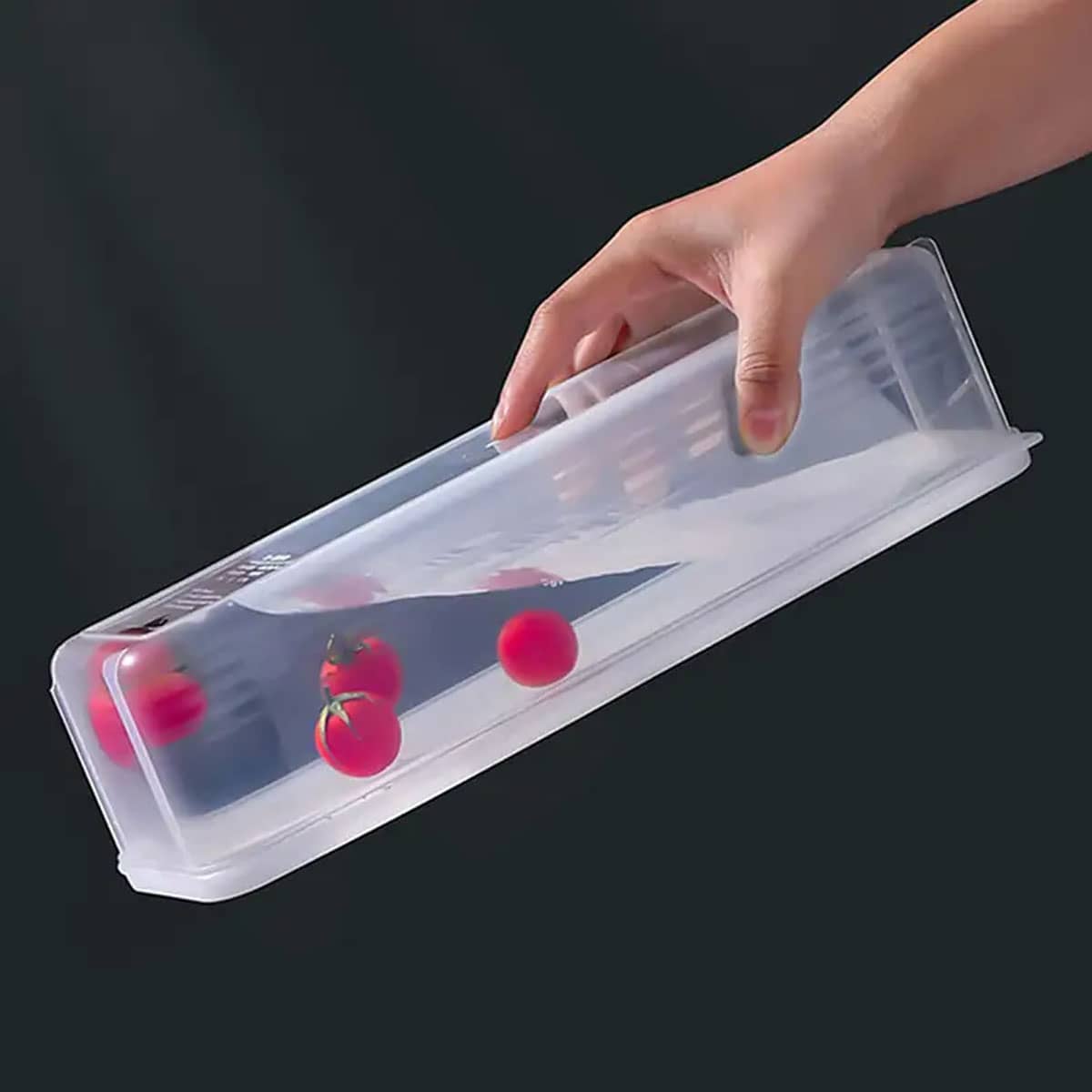 1 Plastic Transparent Storage  - đánh giá và giá Food Storage Quart